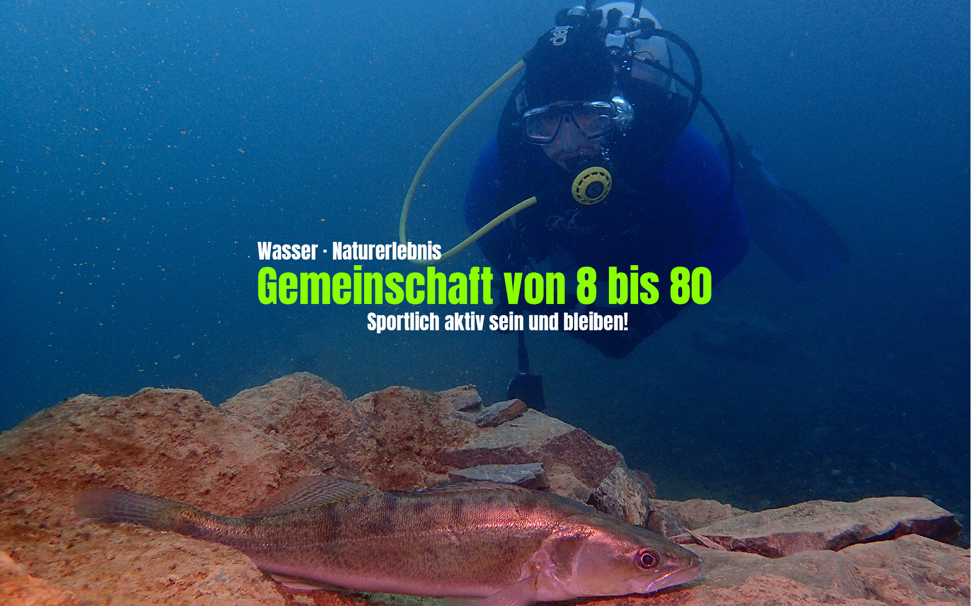 Tauchclub Flotte Flosse Ingelheim e.V., Informationen rund um unseren Verein und das Tauchen